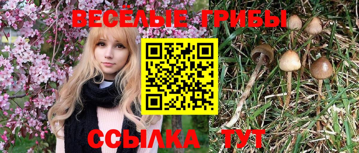 Галлюциногенные грибы GOLDEN TEACHER Кудымкар