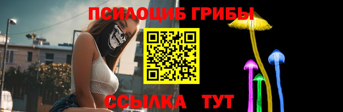 Псилоцибиновые грибы GOLDEN TEACHER  где продают   Вход с VPN  Кудымкар  Галлюциногенные грибы Psilocybine cubensis 